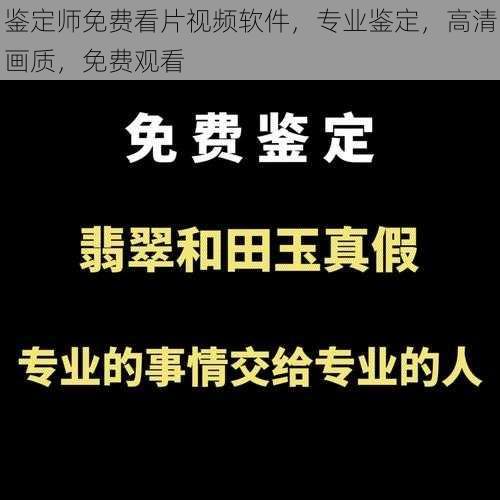 鉴定师免费看片视频软件,专业鉴定,高清画质,免费观看