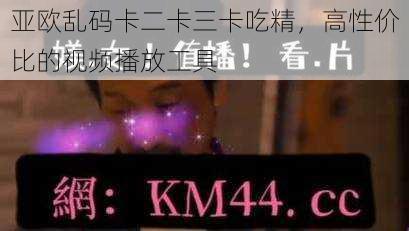 亚欧乱码卡二卡三卡吃精,高性价比的视频播放工具