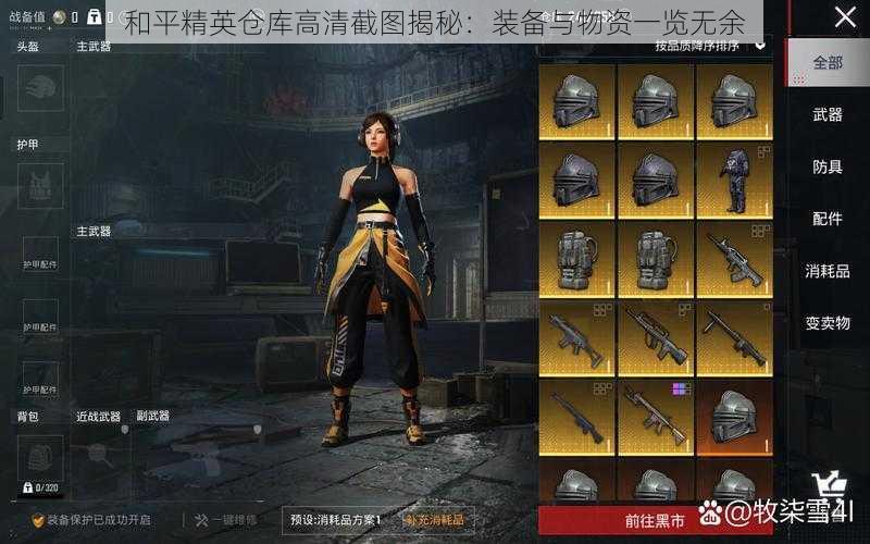和平精英仓库高清截图揭秘:装备与物资一览无余