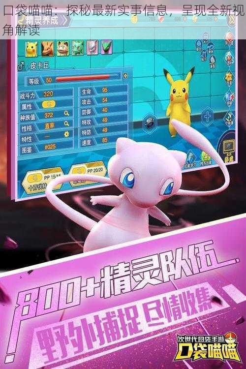 口袋喵喵:探秘最新实事信息,呈现全新视角解读