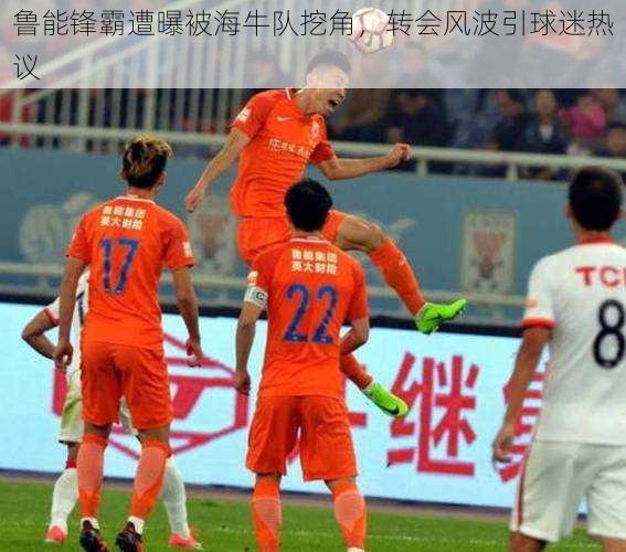 鲁能锋霸遭曝被海牛队挖角,转会风波引球迷热议