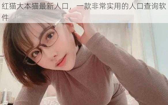 红猫大本猫最新人口,一款非常实用的人口查询软件