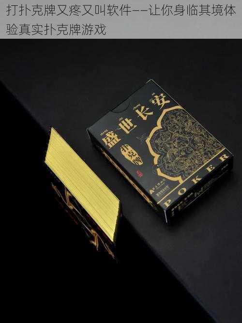 打扑克牌又疼又叫软件——让你身临其境体验真实扑克牌游戏