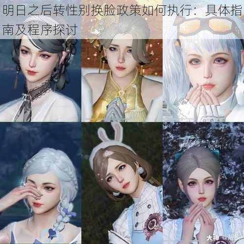明日之后转性别换脸政策如何执行:具体指南及程序探讨