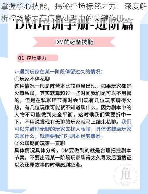 掌握核心技能,揭秘控场标签之力:深度解析控场能力在信息处理中的关键作用