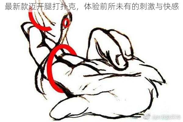 最新款迈开腿打扑克,体验前所未有的刺激与快感