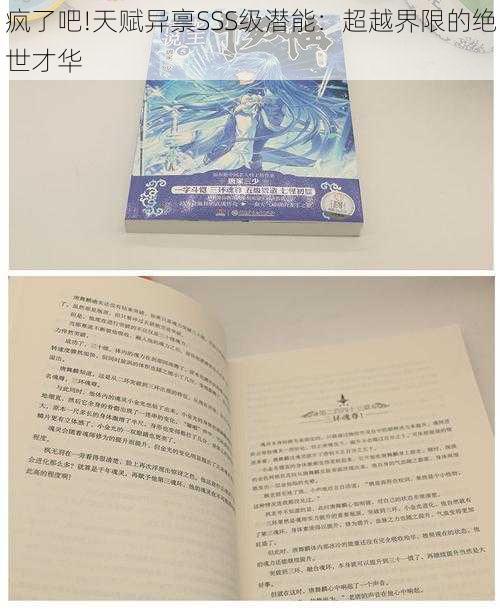 疯了吧!天赋异禀SSS级潜能:超越界限的绝世才华