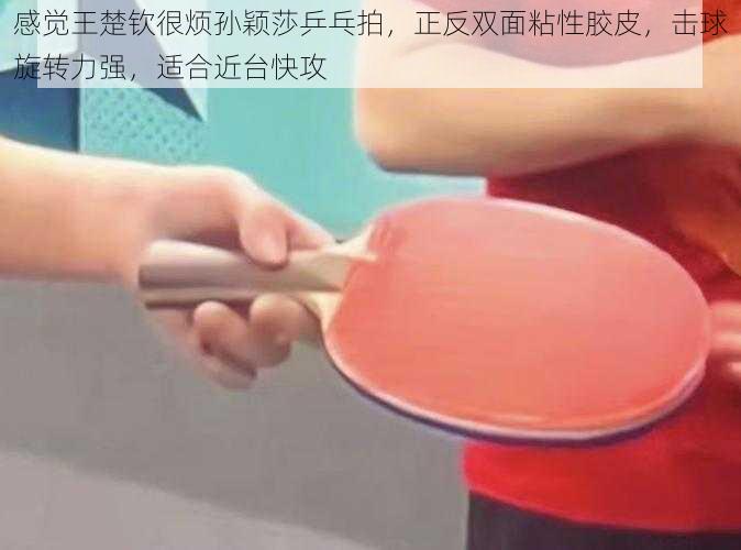 感觉王楚钦很烦孙颖莎乒乓拍,正反双面粘性胶皮,击球旋转力强,适合近台快攻