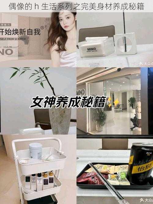偶像的 h 生活系列之完美身材养成秘籍