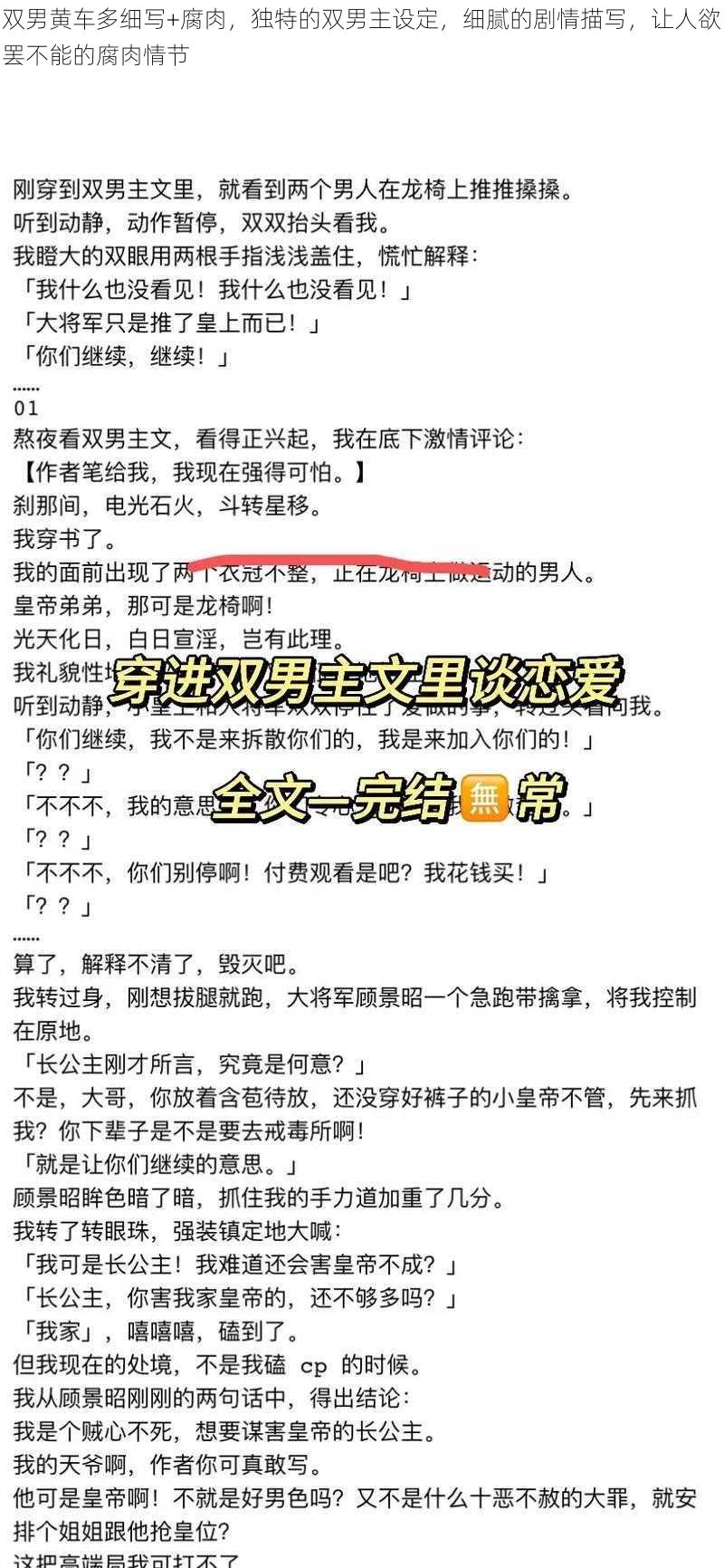 双男黄车多细写+腐肉,独特的双男主设定,细腻的剧情描写,让人欲罢不能的腐肉情节