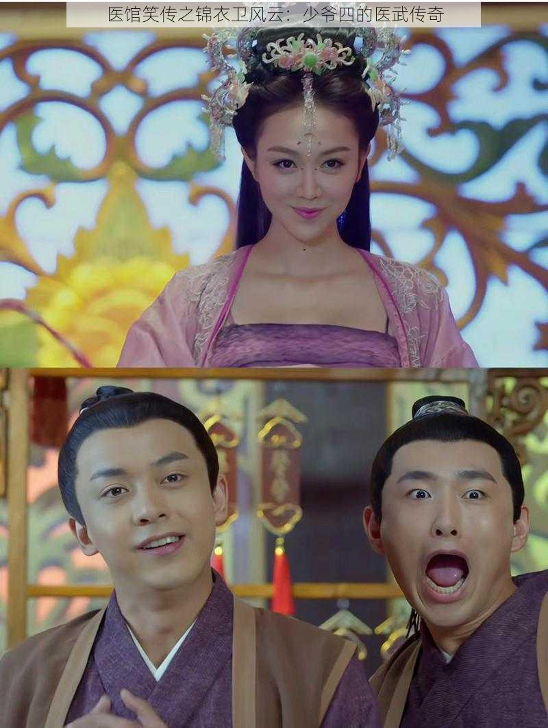 医馆笑传之锦衣卫风云:少爷四的医武传奇