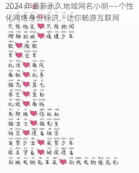 2024 年最新永久地域网名小明——个性化网络身份标识,让你畅游互联网