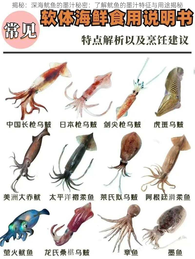 揭秘:深海鱿鱼的墨汁秘密:了解鱿鱼的墨汁特征与用途揭秘
