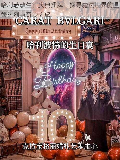 哈利赫敏生日庆典插牌:探寻魔法世界的温馨时刻与奇妙之旅