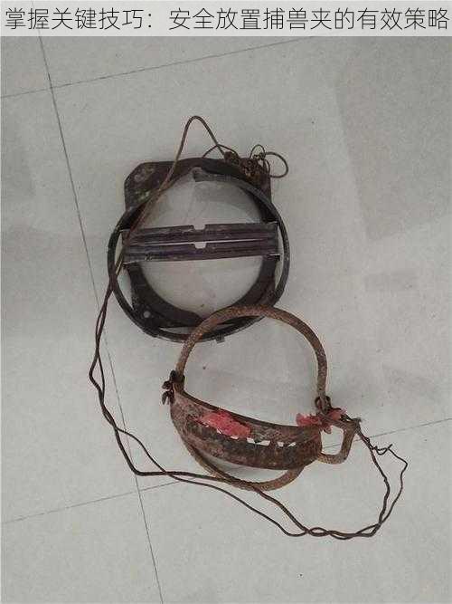掌握关键技巧:安全放置捕兽夹的有效策略