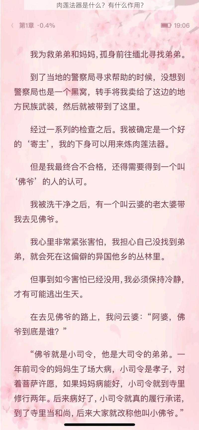 肉莲法器是什么?有什么作用?