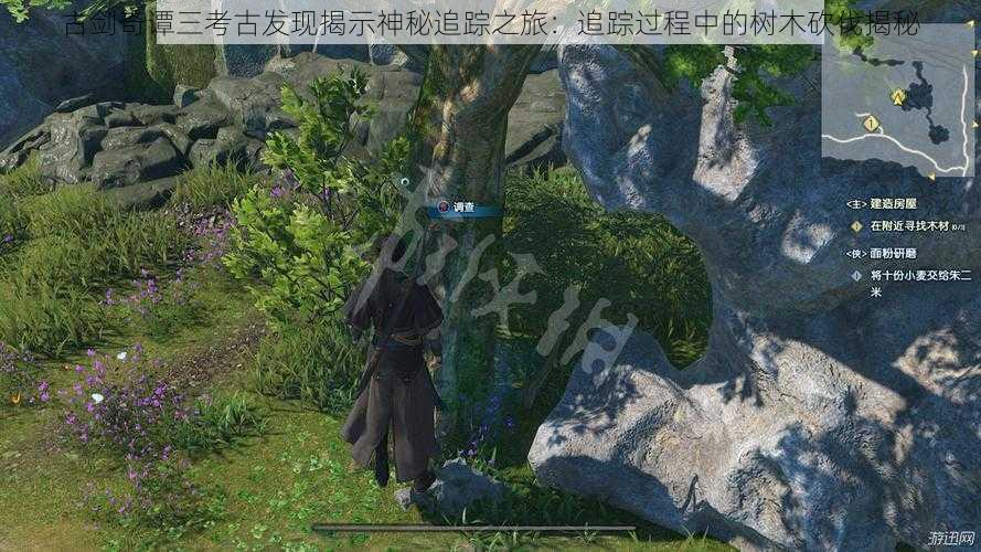 古剑奇谭三考古发现揭示神秘追踪之旅:追踪过程中的树木砍伐揭秘