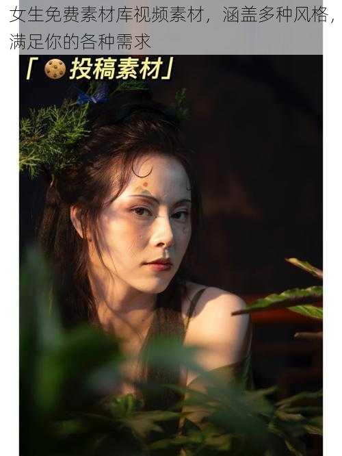 女生免费素材库视频素材,涵盖多种风格,满足你的各种需求