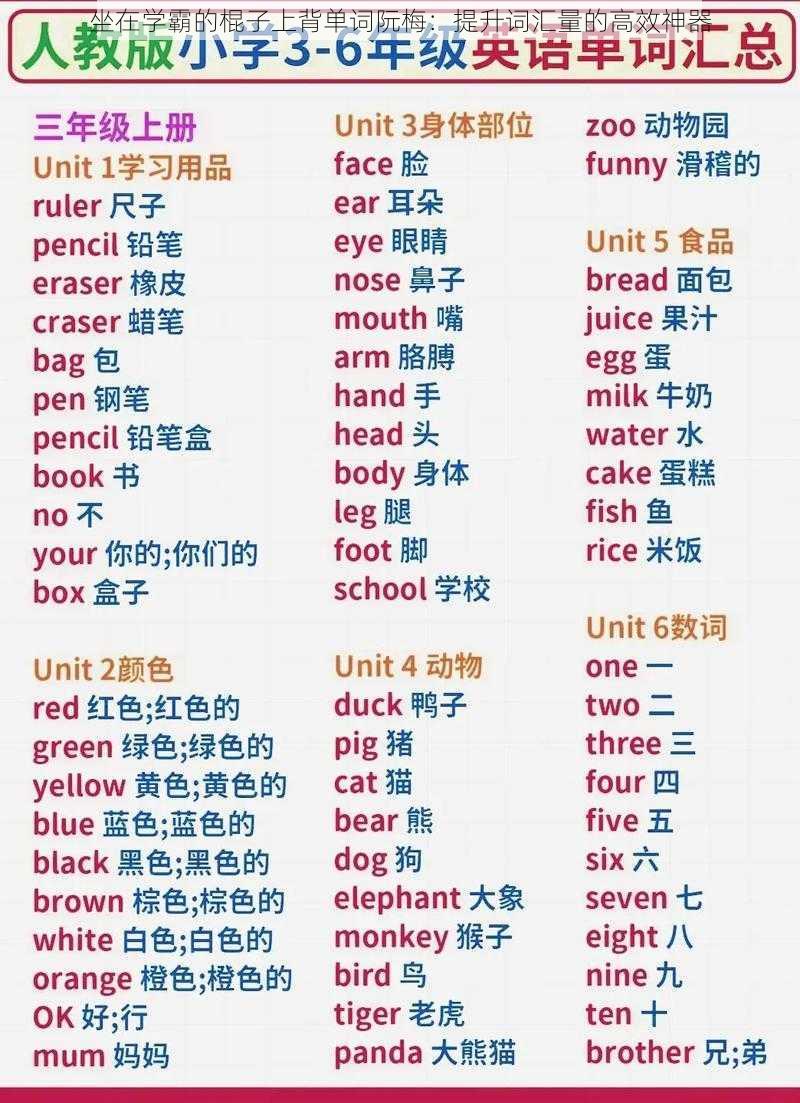 坐在学霸的棍子上背单词阮梅:提升词汇量的高效神器