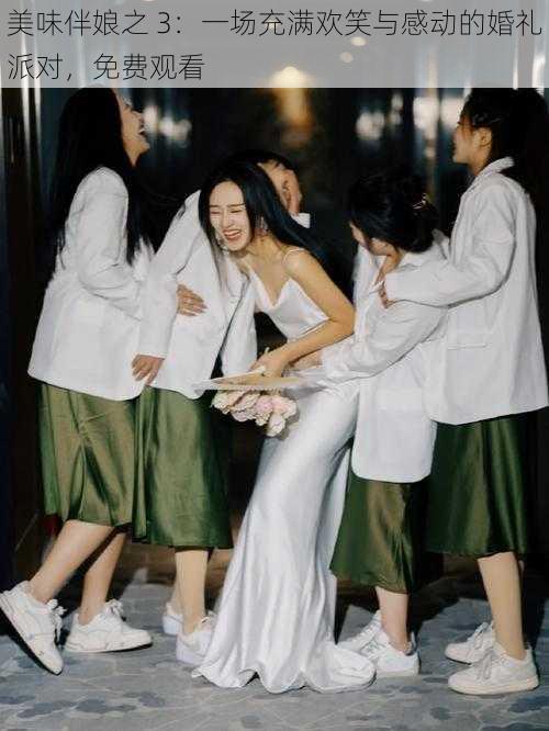美味伴娘之 3:一场充满欢笑与感动的婚礼派对,免费观看