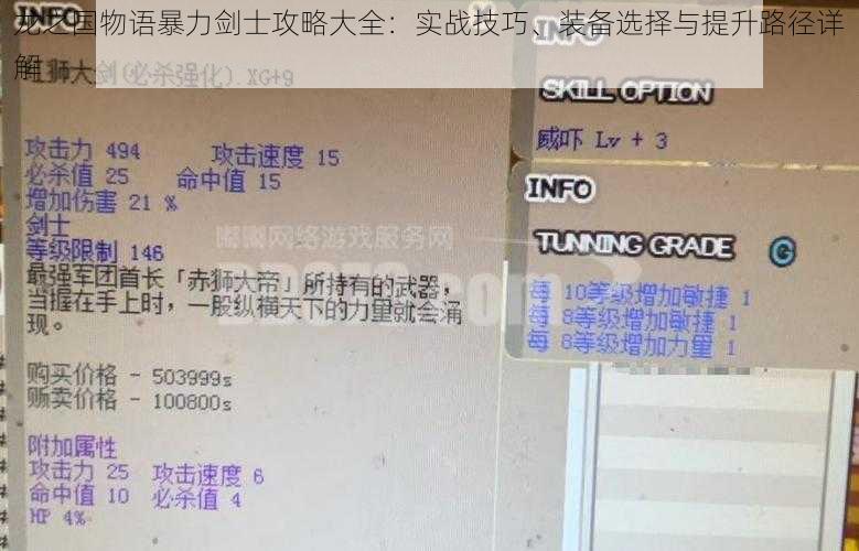 龙之国物语暴力剑士攻略大全:实战技巧、装备选择与提升路径详解