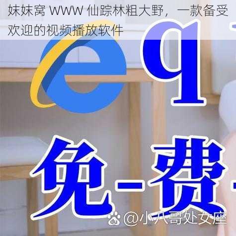 妺妺窝 WWW 仙踪林粗大野,一款备受欢迎的视频播放软件