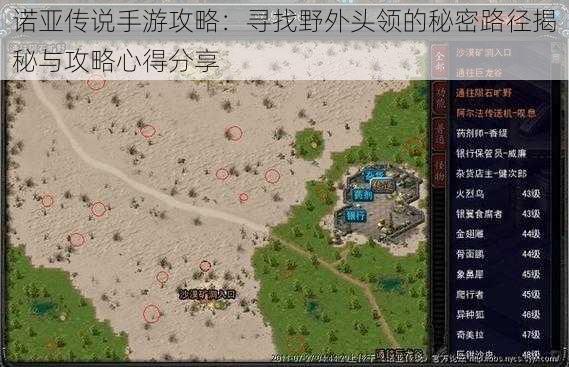 诺亚传说手游攻略:寻找野外头领的秘密路径揭秘与攻略心得分享