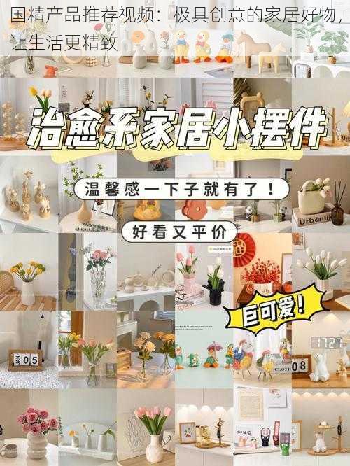 国精产品推荐视频:极具创意的家居好物,让生活更精致