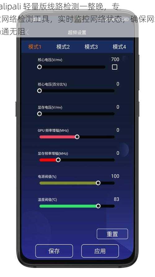 palipali 轻量版线路检测一整晚,专业网络检测工具,实时监控网络状态,确保网络畅通无阻