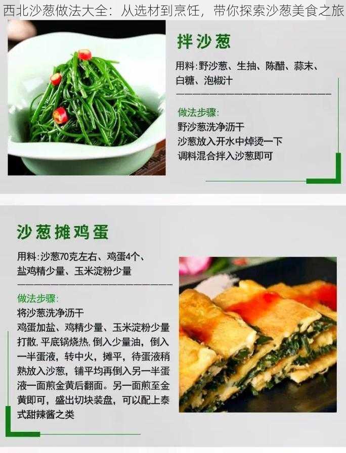 西北沙葱做法大全:从选材到烹饪,带你探索沙葱美食之旅