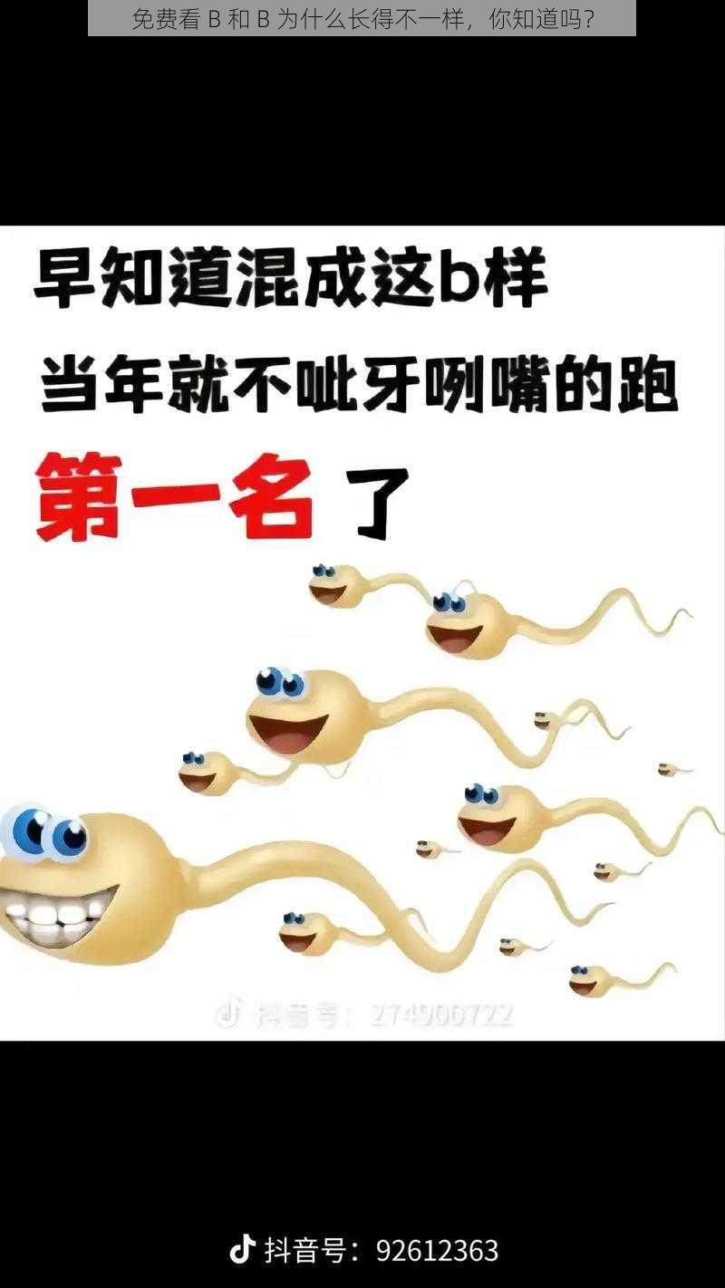 免费看 B 和 B 为什么长得不一样,你知道吗?