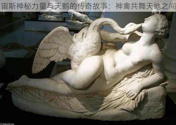 宙斯神秘力量与天鹅的传奇故事:神禽共舞天地之间