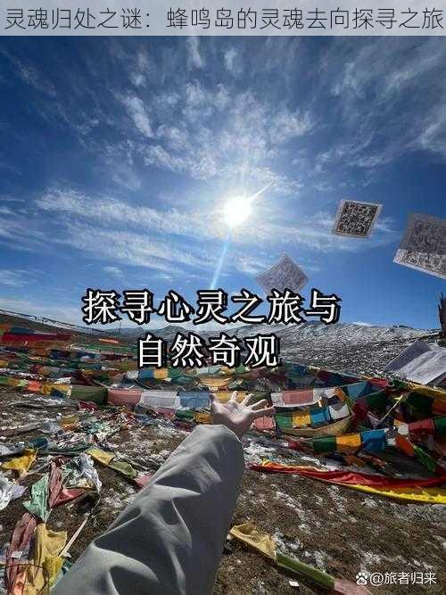 灵魂归处之谜:蜂鸣岛的灵魂去向探寻之旅