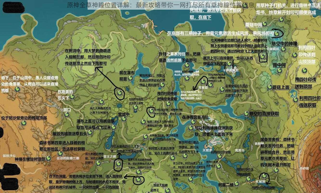 原神全草神瞳位置详解:最新攻略带你一网打尽所有草神瞳位置信息