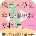 绿巨人草莓丝瓜樱桃秋葵榴莲,一款功能强大的综合性视频播放软件