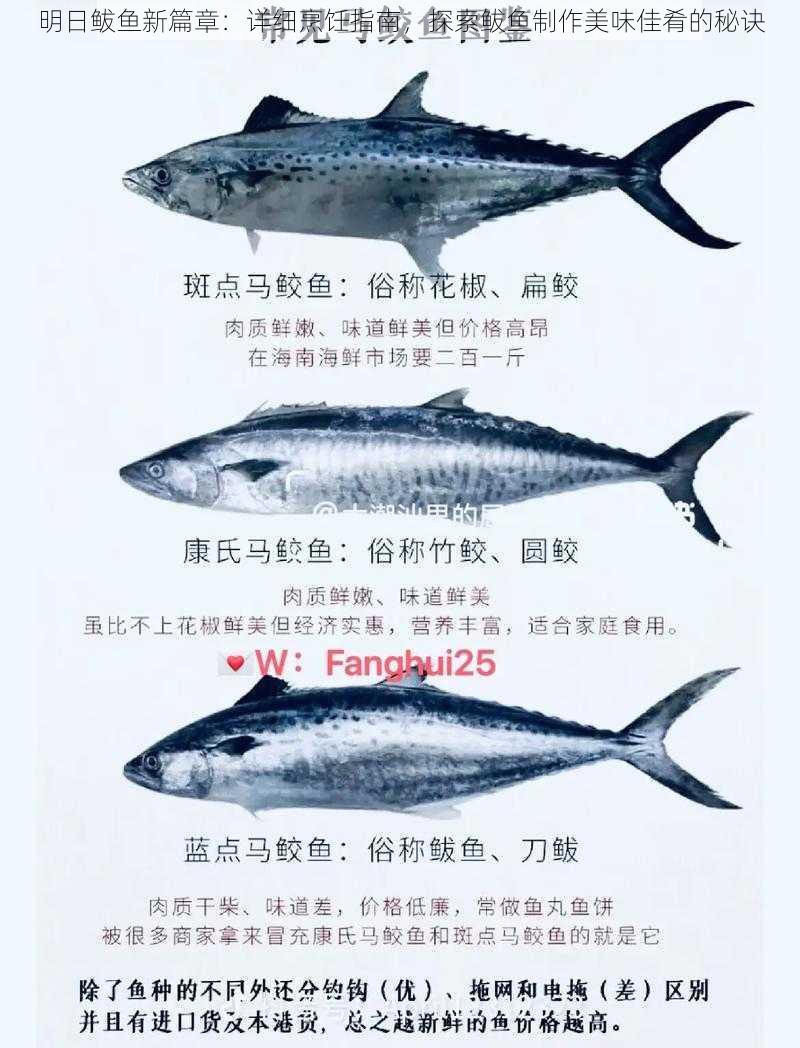 明日鲅鱼新篇章:详细烹饪指南,探索鲅鱼制作美味佳肴的秘诀
