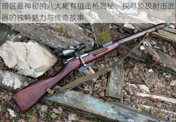 暗区最神秘的八大稀有狙击枪揭秘:探寻顶级射击武器的独特魅力与传奇故事