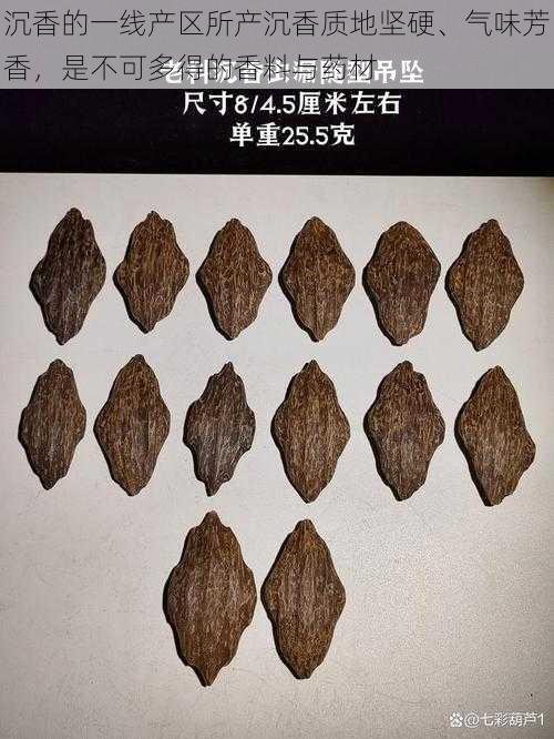 沉香的一线产区所产沉香质地坚硬、气味芳香,是不可多得的香料与药材