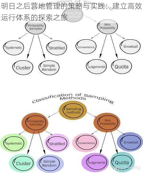 明日之后营地管理的策略与实践:建立高效运行体系的探索之旅