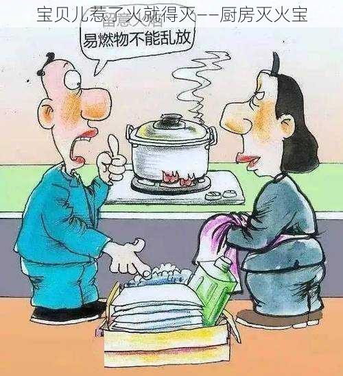 宝贝儿惹了火就得灭——厨房灭火宝