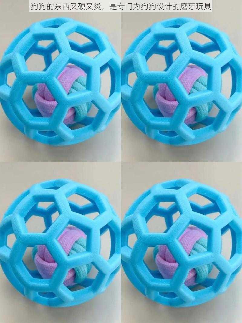 狗狗的东西又硬又烫,是专门为狗狗设计的磨牙玩具