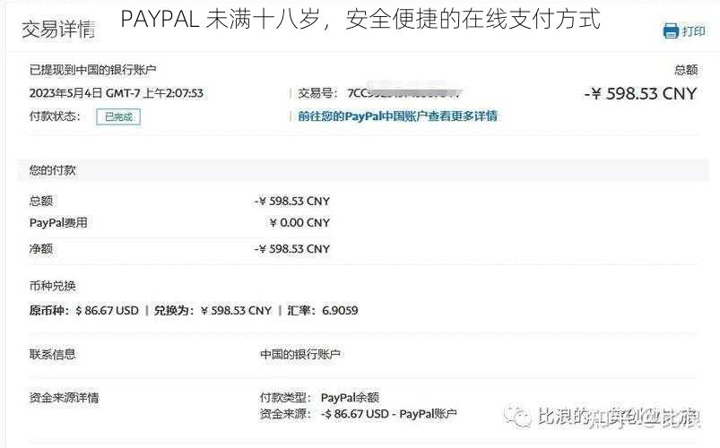PAYPAL 未满十八岁,安全便捷的在线支付方式