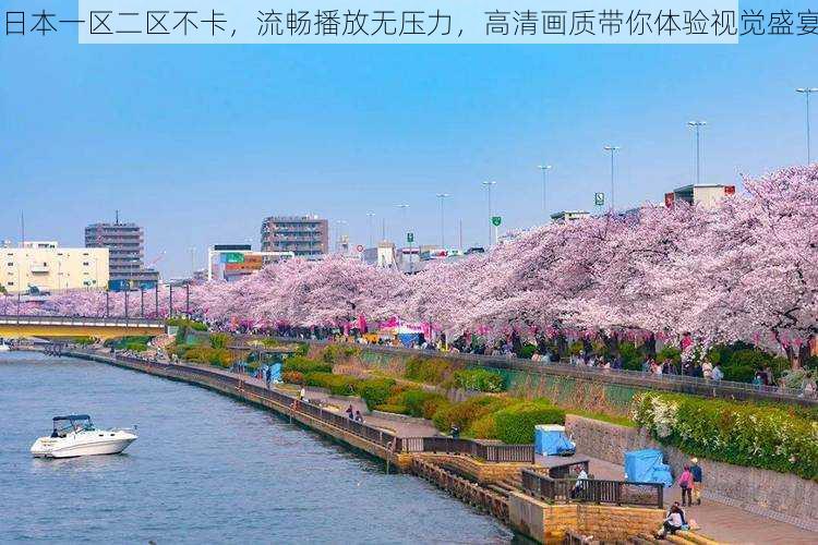 日本一区二区不卡,流畅播放无压力,高清画质带你体验视觉盛宴