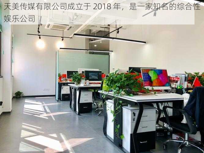 天美传媒有限公司成立于 2018 年,是一家知名的综合性娱乐公司