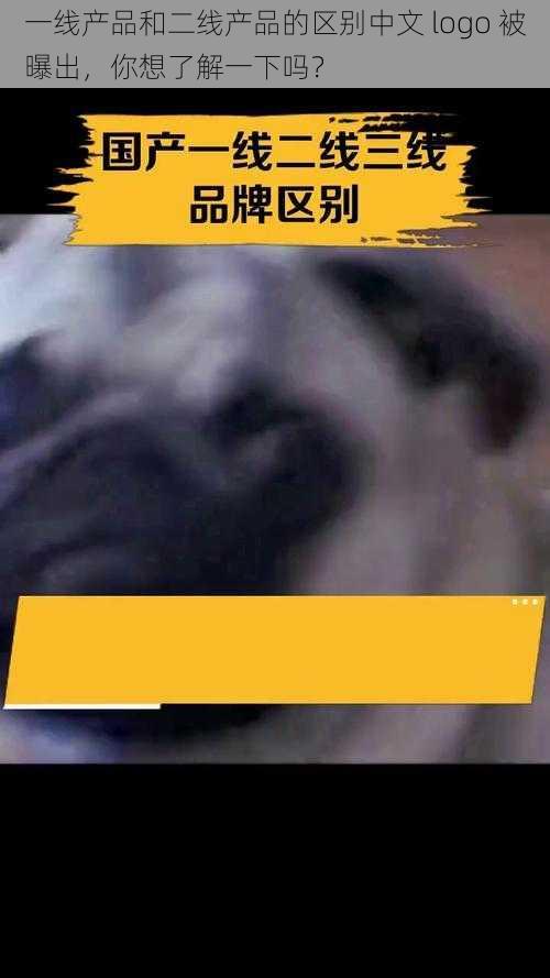 一线产品和二线产品的区别中文 logo 被曝出,你想了解一下吗?
