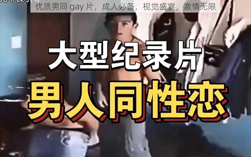 优质男同 gay 片,成人必备,视觉盛宴,激情无限