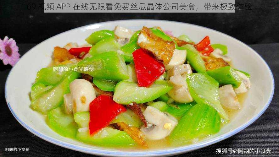 69 视频 APP 在线无限看免费丝瓜晶体公司美食,带来极致体验