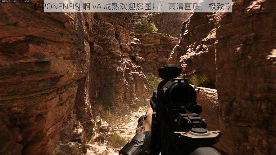 JAPONENSISJ 啊 vA 成熟欢迎您图片:高清画质,极致享受