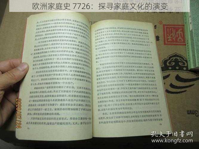 欧洲家庭史 7726:探寻家庭文化的演变