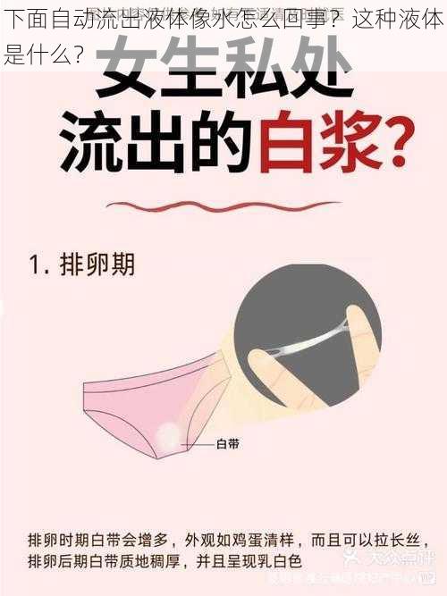 下面自动流出液体像水怎么回事?这种液体是什么?